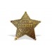 Значок Шерифа пятиконечный округа Линкольн